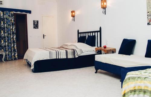 Tozeur House | Résidence Le Ruisseau