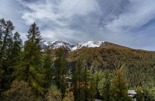 Les Orres Apartment | Résidence Les Ecrins - Studio au calme vue sur la forêt de Mélèzes 1650 MAE-9594
