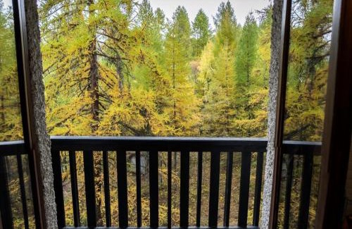 Les Orres Apartment | Résidence Les Ecrins - Studio au calme vue sur la forêt de Mélèzes 1650 MAE-9594