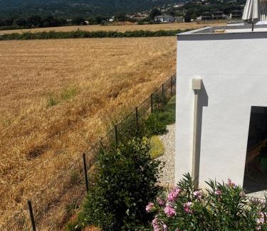 Penta-di-Casinca Apartment | Résidence Petra Paolina