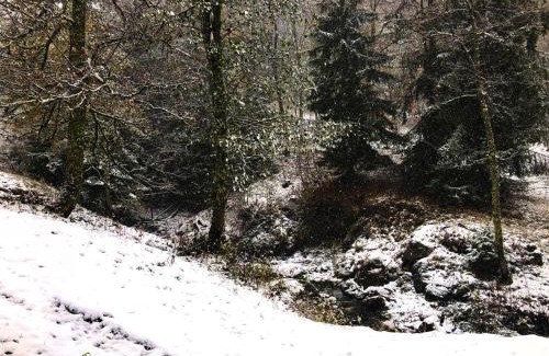 Les Avanchers-Valmorel Apartment | Résidence Sapiniere - La Sapinière 16 - Très joli 2 pièces au cœur de la nature MAE-1724