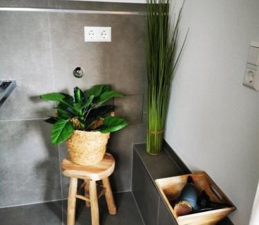 Schlier Apartment | Rösslerhof Ferienwohnung Rösslerweiher