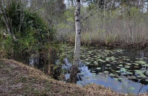 Steinhatchee House | R & J's Getaway - Dog friendly