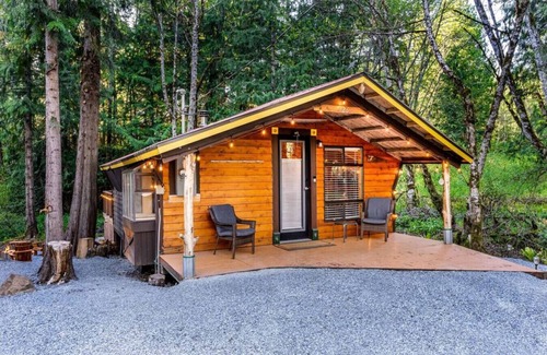 Paradise Estates Cabin | R&R Creekside Cabin -Hot Tub, AC, near Mt Rainier! Ashford, WA