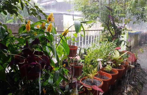 Makassar House | Radinka House
