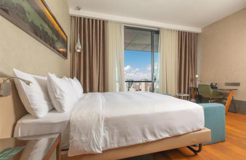 Atasehir Hotel | Radisson Blu Hotel Istanbul Asia