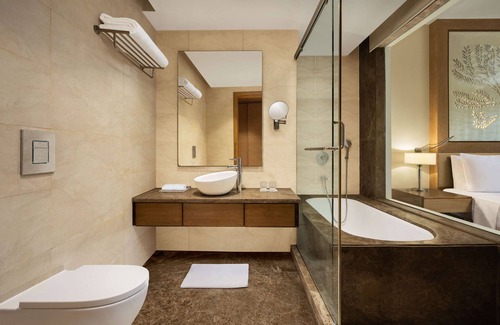 Dwarka Hotel | Radisson Blu Hotel New Delhi Dwarka