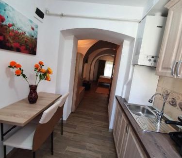 Sibiu Old Town Apartment | Radu Apartament