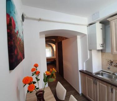 Sibiu Old Town Apartment | Radu Apartament