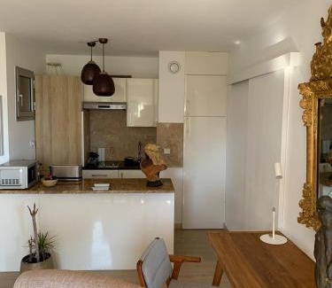 Cap-Ferrat Apartment | Raffiné appartement
