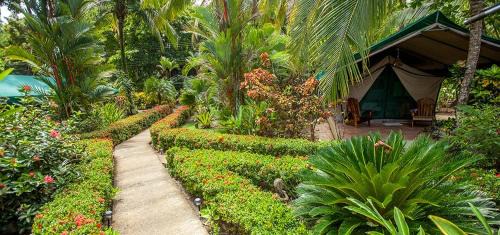 Savegre Bed & Breakfast | Rafiki Beach Camp