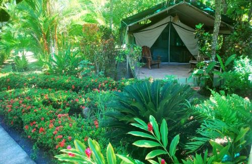 Savegre Bed & Breakfast | Rafiki Beach Camp