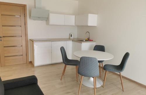 Klaipeda Apartment | Ragainės apartamentai