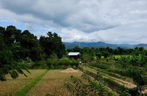 Phrao House | Rai Boonsom