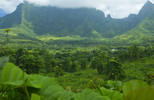 Teahupoo House | RAIATEA - Fare Temehani
