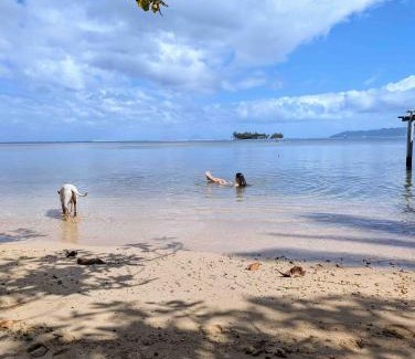 Teahupoo House | RAIATEA - The BEACH HOUSE - plage sur le lagon !