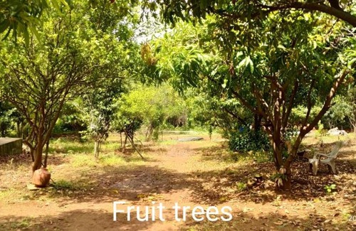 Kalyan House | Raigad farms and resort