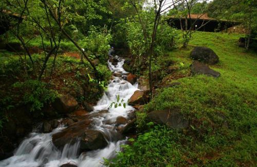 Lakkidi Resort | Rain Country Jungle Resort