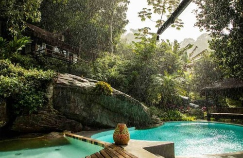 Gavea House | Rain Forest Paradise
