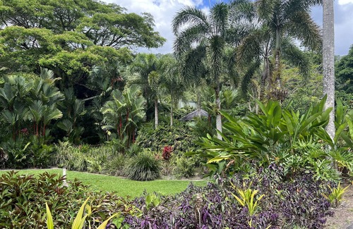 Finlayvale House | Rainforest Estate luxury Stay