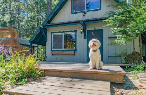 Ashford House | Rainier's Iconic Cabin with Forest Views & Hot Tub
