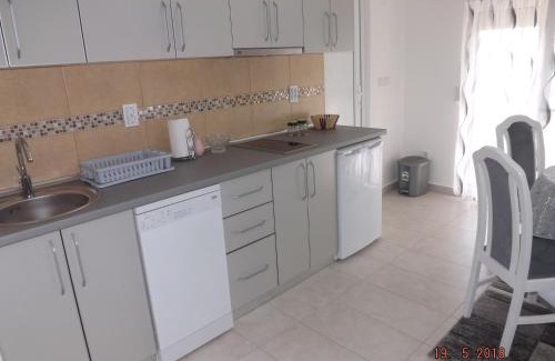 Radanovici Apartment | Raj