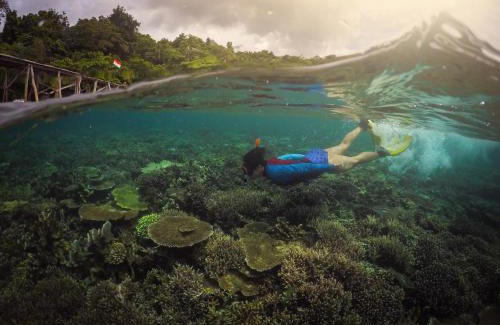 Saprokren Resort | Raja Ampat Dive Resort
