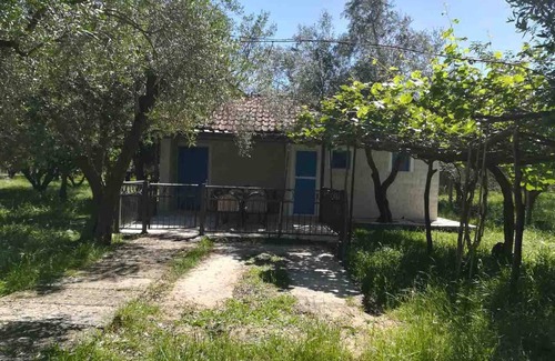 Ulcinj House | Rajana Bungalow 2(olive House)