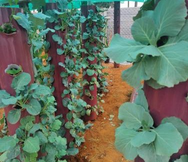 Sidlaghatta House | Rajni farm house