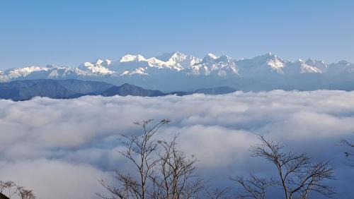 Ging Tea Garden House | Rajpankchi Junglestay