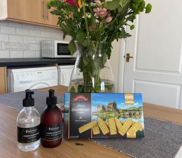 Fort William Apartment | Ramblers Rest Modern Cottage-Perfect Views of Ben Nevis