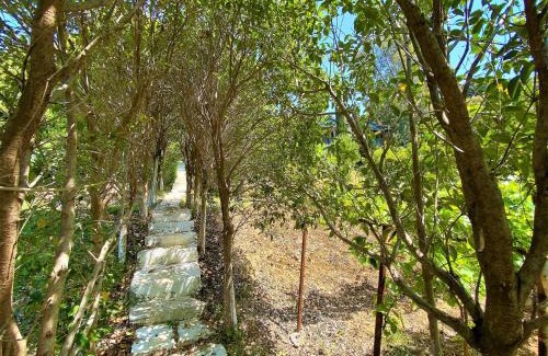 Radhime House | Ramo's Cozy Beachside Haven with Panoramic Views - 4th