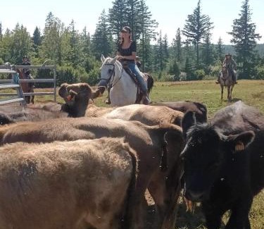 La Salvetat-sur-Agout House | Ranch du Haut-Languedoc