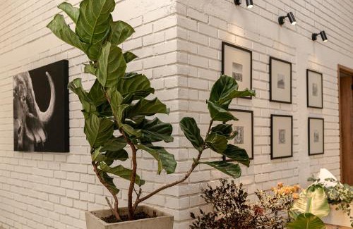 Circasia House | Rancho El Rocio