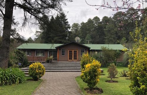El Aguaje Cabin | Rancho Viejo