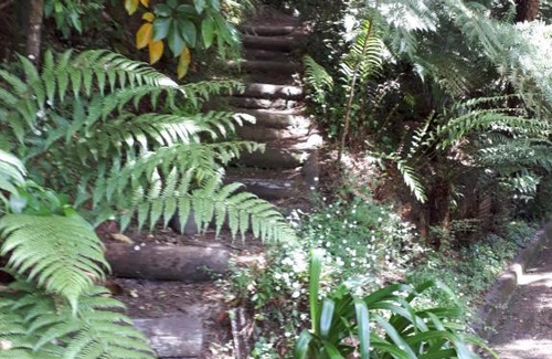 Taumarunui Bed & Breakfast | Rangaroa Heights