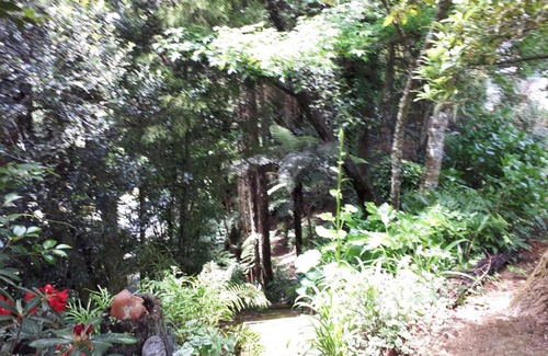 Taumarunui Bed & Breakfast | Rangaroa Heights