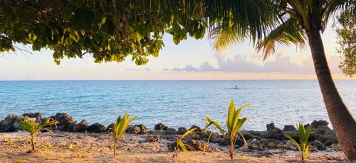 Rangiroa Ski Chalet | Rangiroa Sunny House