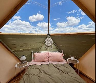 Valle Other | Raptor Ranch Glamping