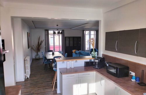 Hincmar Apartment | Rare = Apartment 6 pers Downtown with large terrace, spa, petanque
