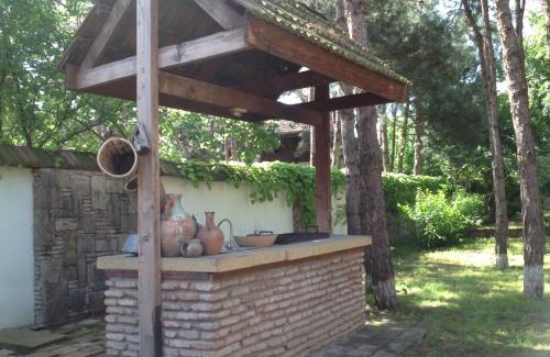 Tbilisi Villa | RARE house with garden