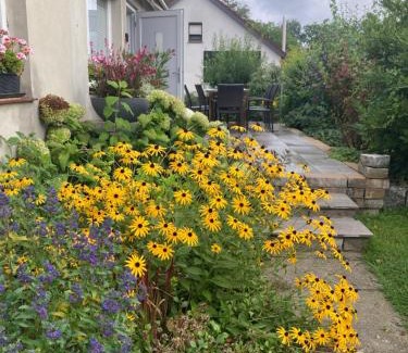 Bad Muskau Apartment | Rast am Park