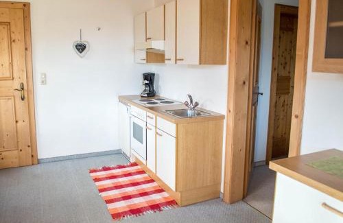 Mittersill Apartment | Rauchenbacher Apartments, Mittersill
