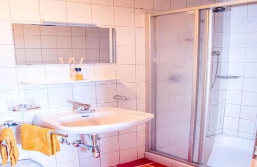 Mittersill Apartment | Rauchenbacher Apartments, Mittersill
