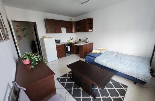 Katowice Apartment | Rawa Boulevard