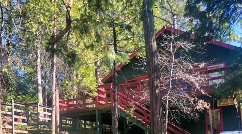 Twain Harte House | Read Haven 3 Bedroom, 1.5 Bath