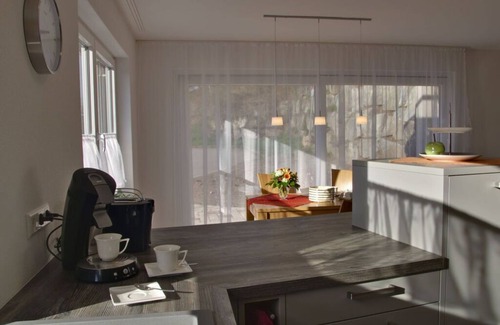 Steinach House | Rebenrain Comfortable holiday residence