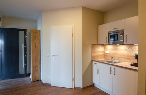 Herbolzheim Apartment | Rebstock, 17qm, 1 living room /bedroom, max. 2 persons