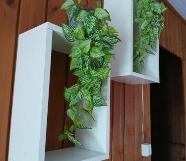 Passo de Torres House | Recanto Doce Lar