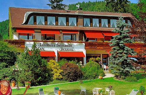 Steina Apartment | Recharge your batteries in the middle of the nature of the Harz Mountains